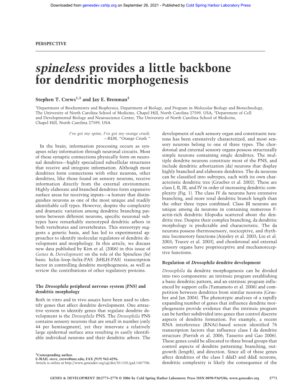 Spineless Provides a Little Backbone for Dendritic Morphogenesis