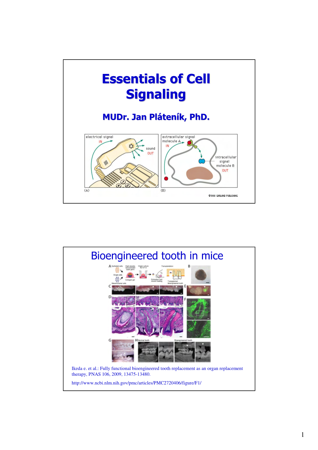 Essentials of Cell Signaling