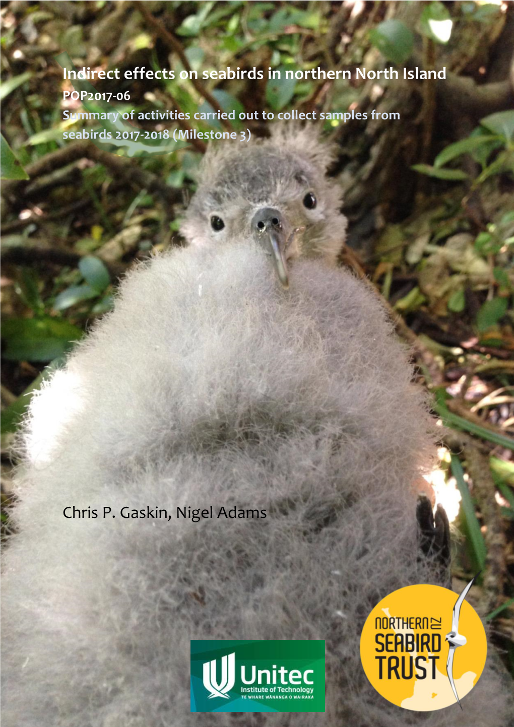 Indirect Effects on Seabirds in Northern North Island Chris P. Gaskin, Nigel Adams