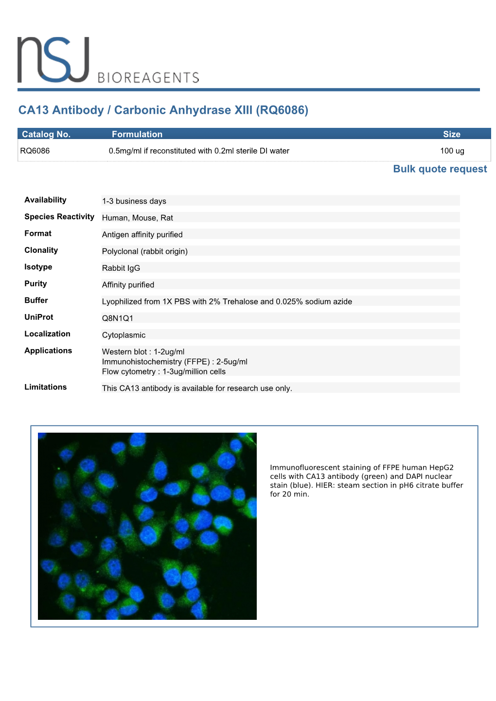 CA13 Antibody / Carbonic Anhydrase XIII (RQ6086)