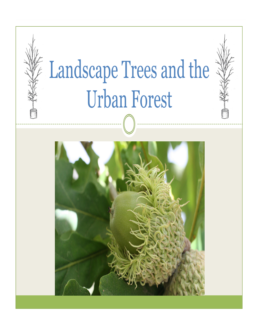 Landscape Trees and the Urban Forest Selecting the Right Tree Species Ellen Zagory, UCD Arboretum Why Do You Want to Plant a Tree?