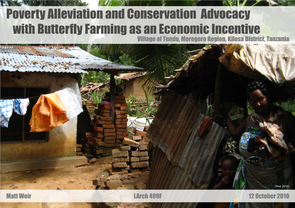 Butterfly Farming in Tundu