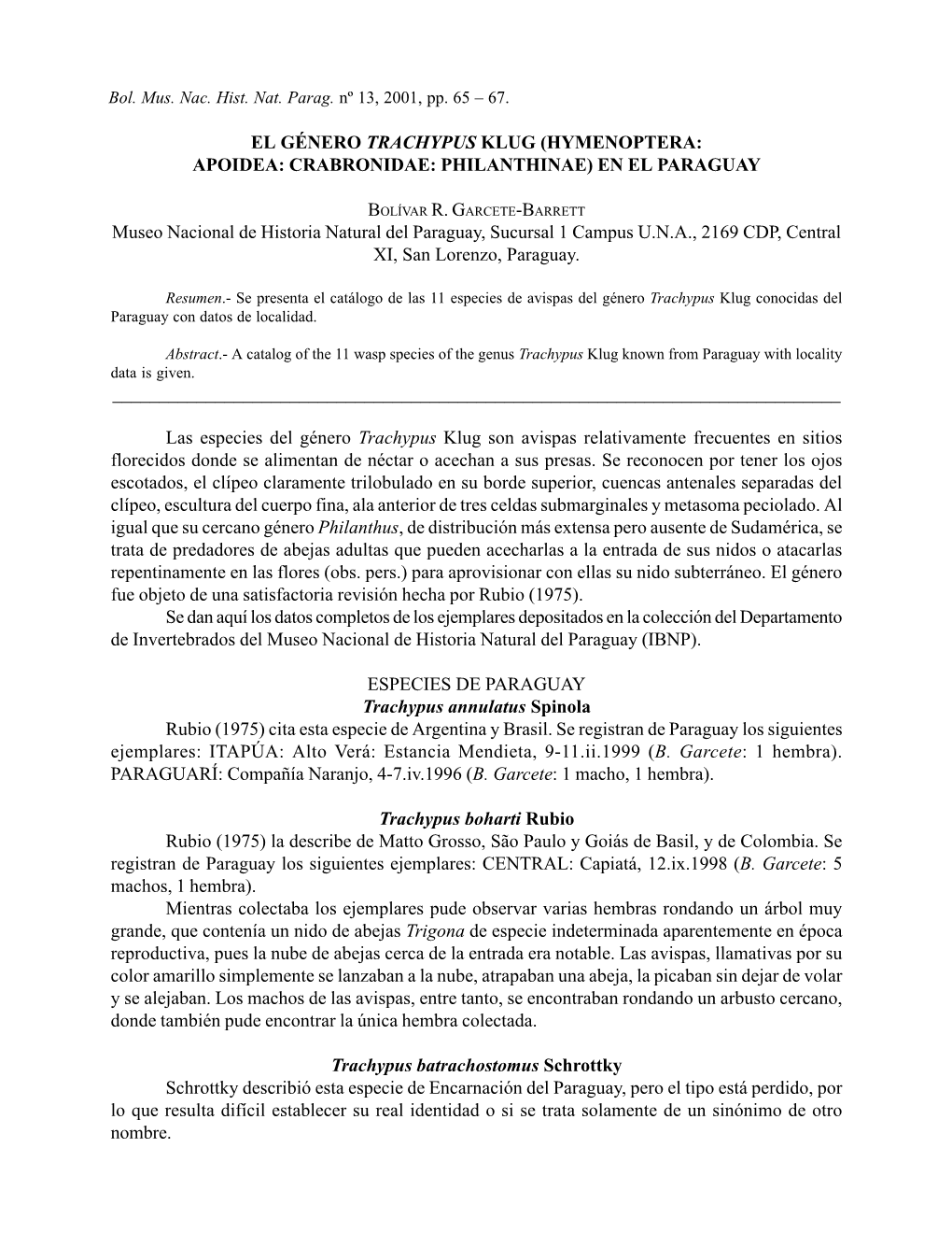 El Género Trachypus Klug (Hymenoptera: Apoidea: Crabronidae: Philanthinae) En El Paraguay