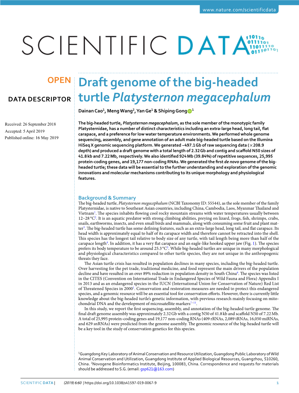 Draft Genome of the Big-Headed Turtle Platysternon Megacephalum