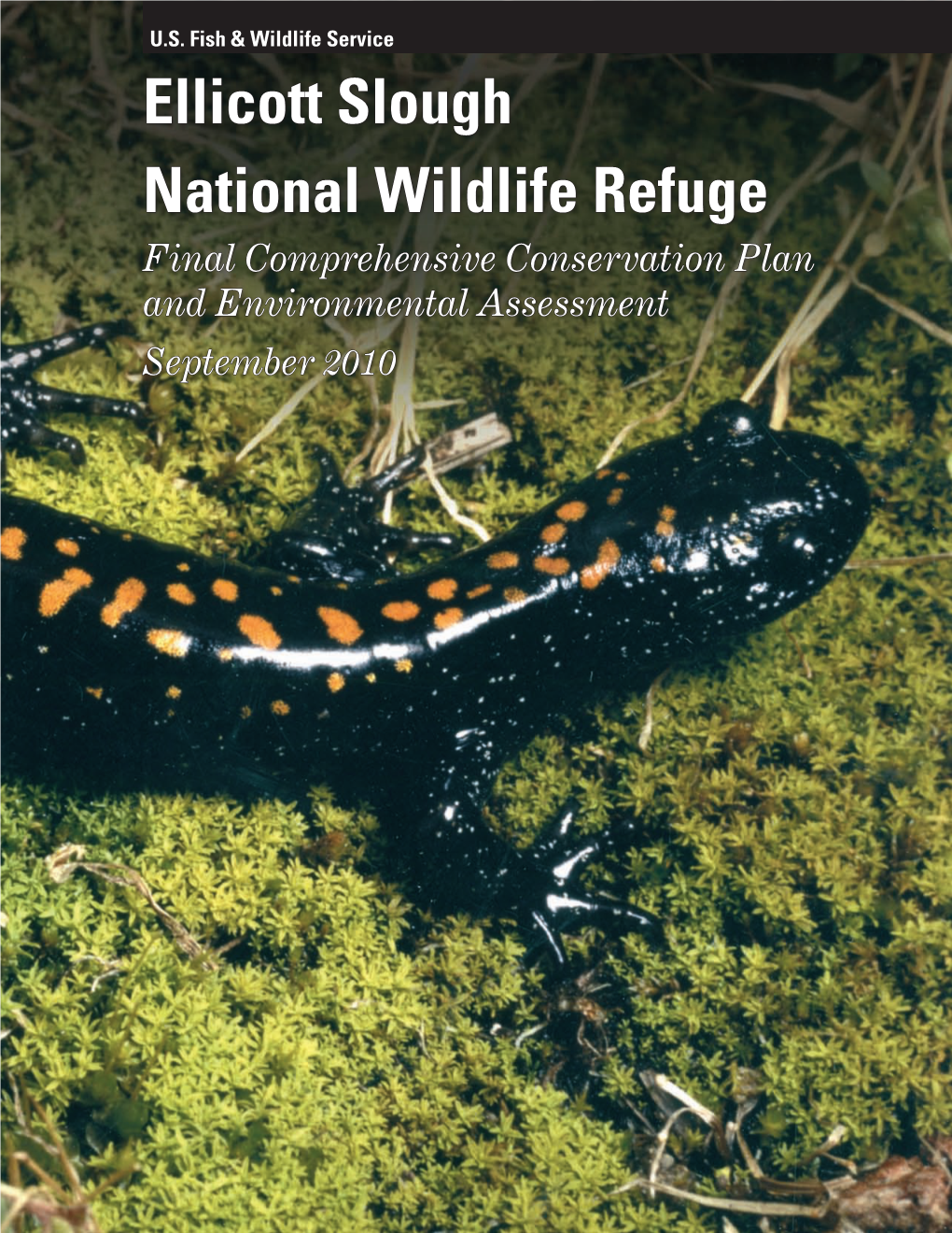 Final Comprehensive Conservation Plan Voice: 1 800/735-2922 and Environmental Assessment U.S