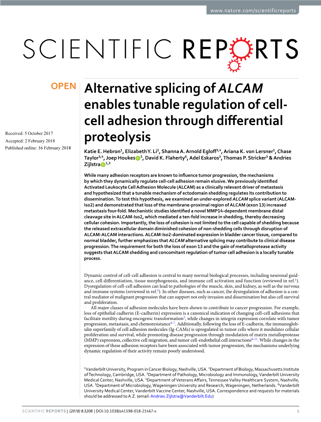 Alternative Splicing of ALCAM Enables Tunable Regulation of Cell-Cell