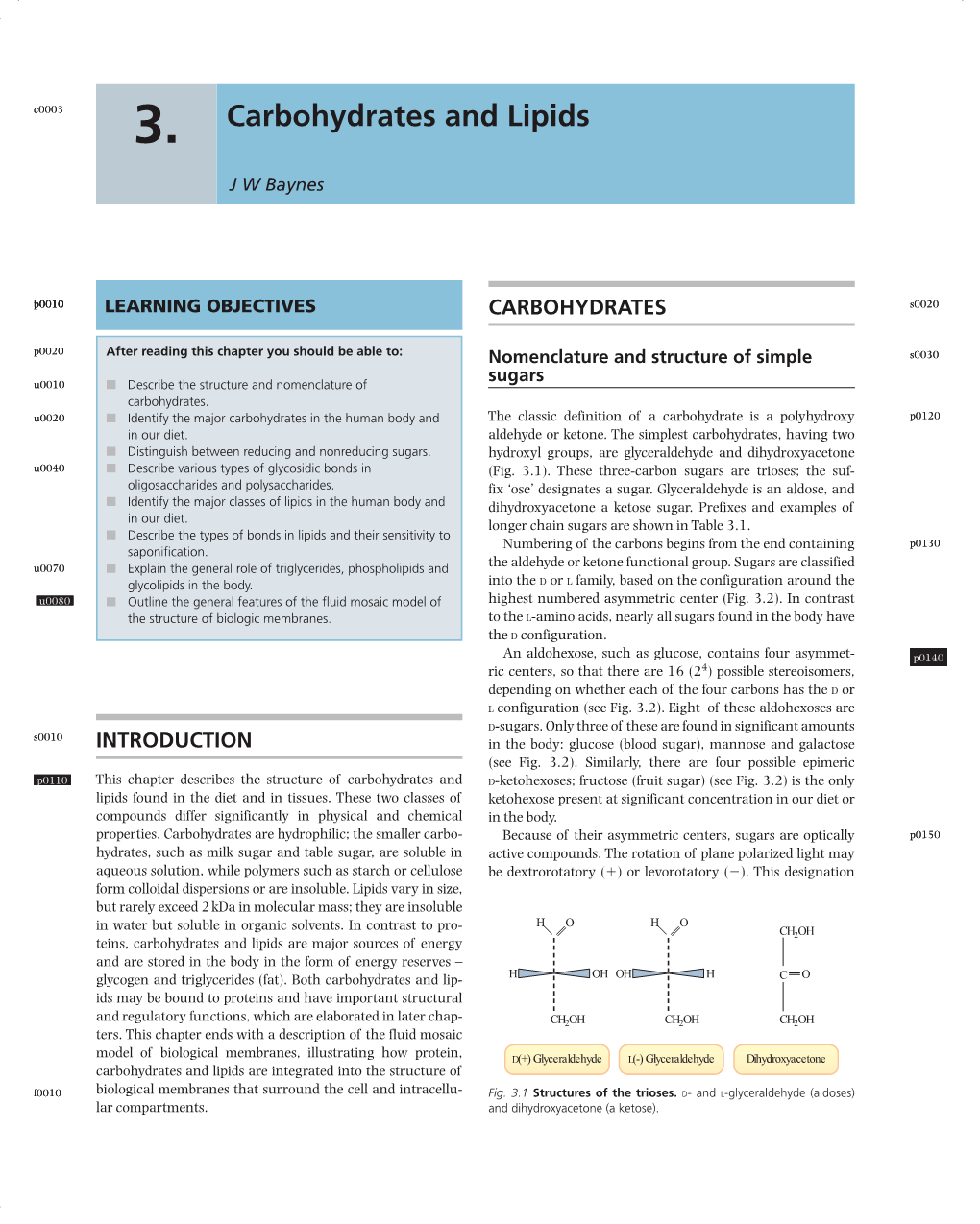 Carbohydrates and Lipids