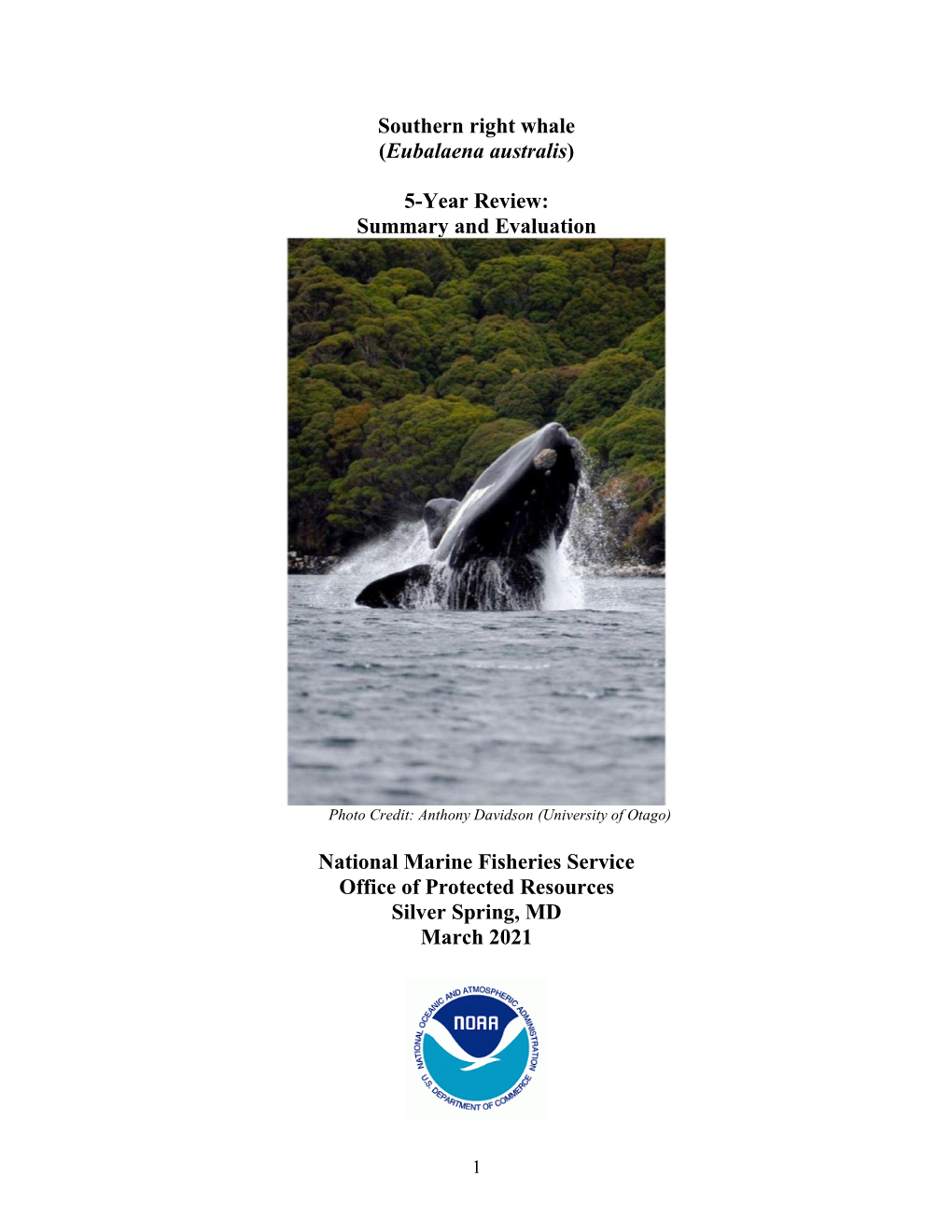 508 Compliant 2021 Southern Right Whale 5-Year Review