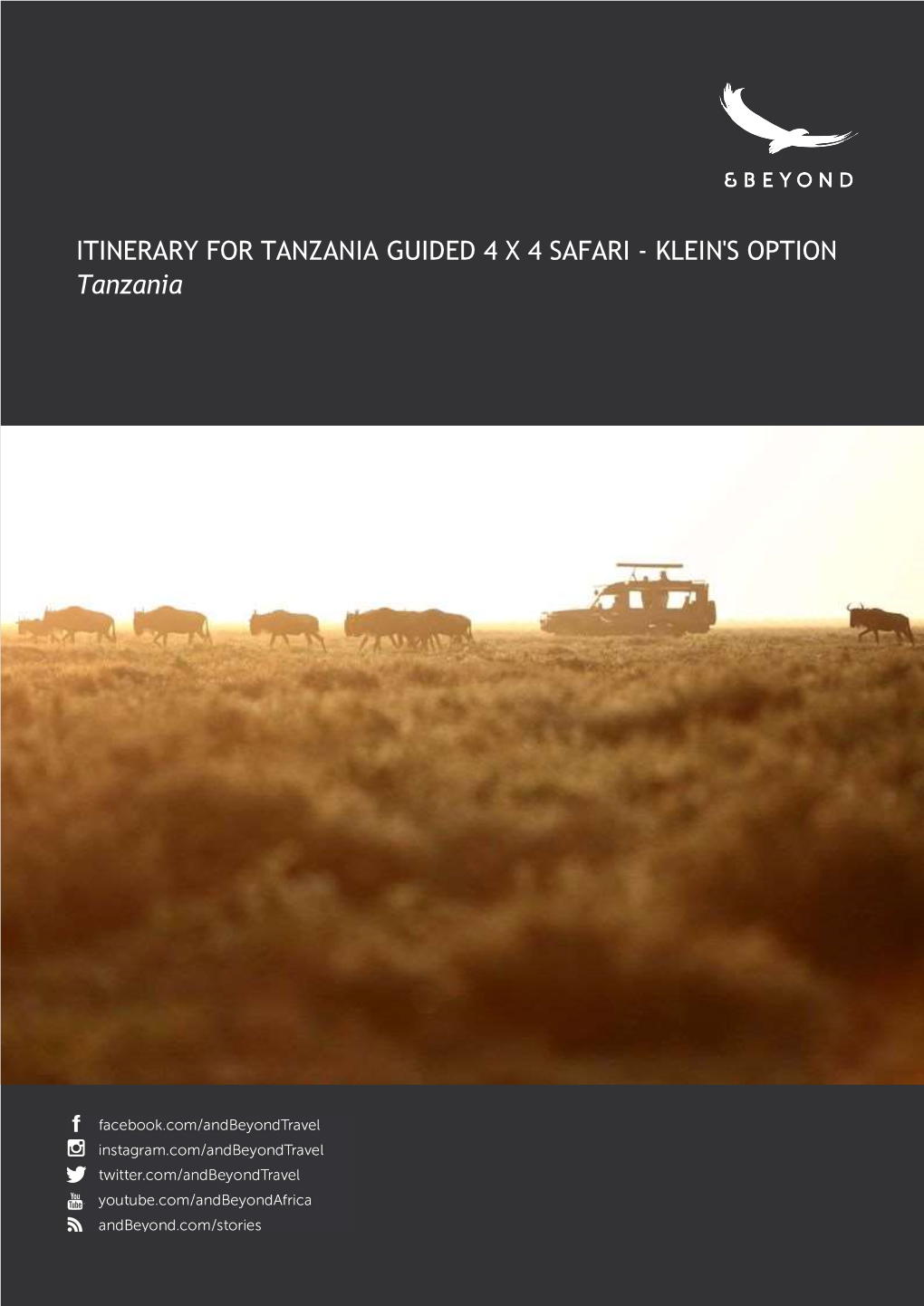 ITINERARY for TANZANIA GUIDED 4 X 4 SAFARI - KLEIN's OPTION Tanzania