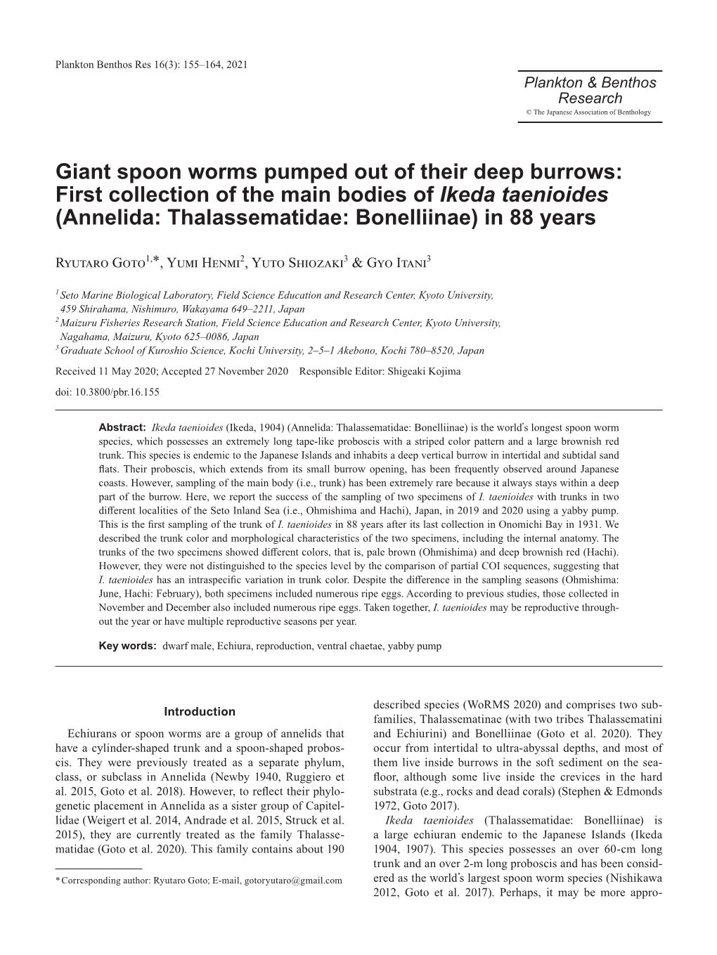 Giant Spoon Worms Pumped out of Their Deep Burrows: First Collection of the Main Bodies of Ikeda Taenioides (Annelida: Thalassematidae: Bonelliinae) in 88 Years