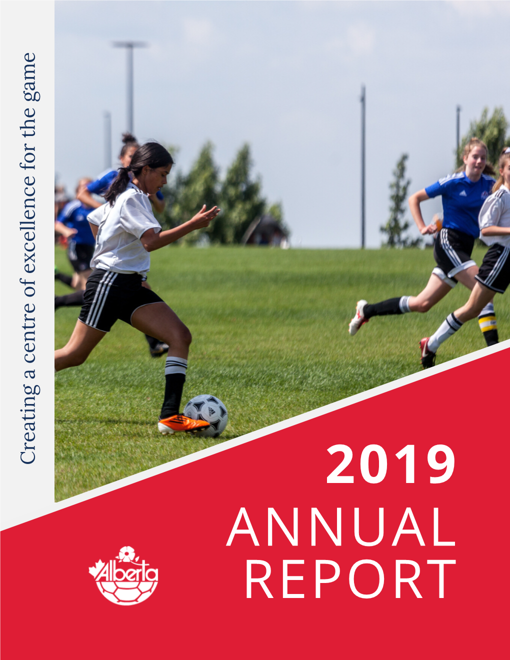 Annual Report 2019