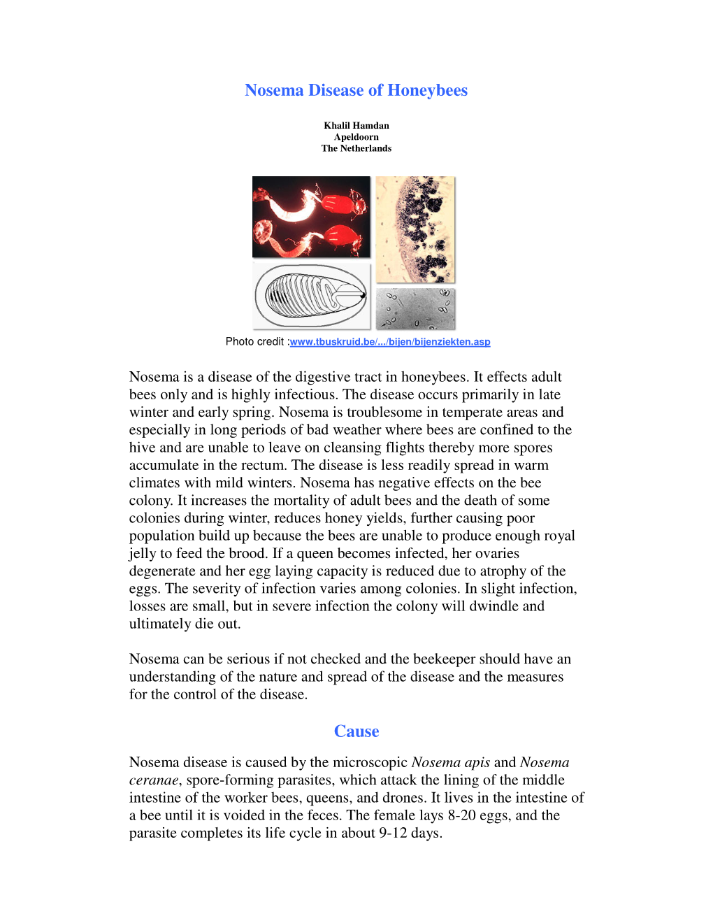 Nosema Disease of Honeybees Cause