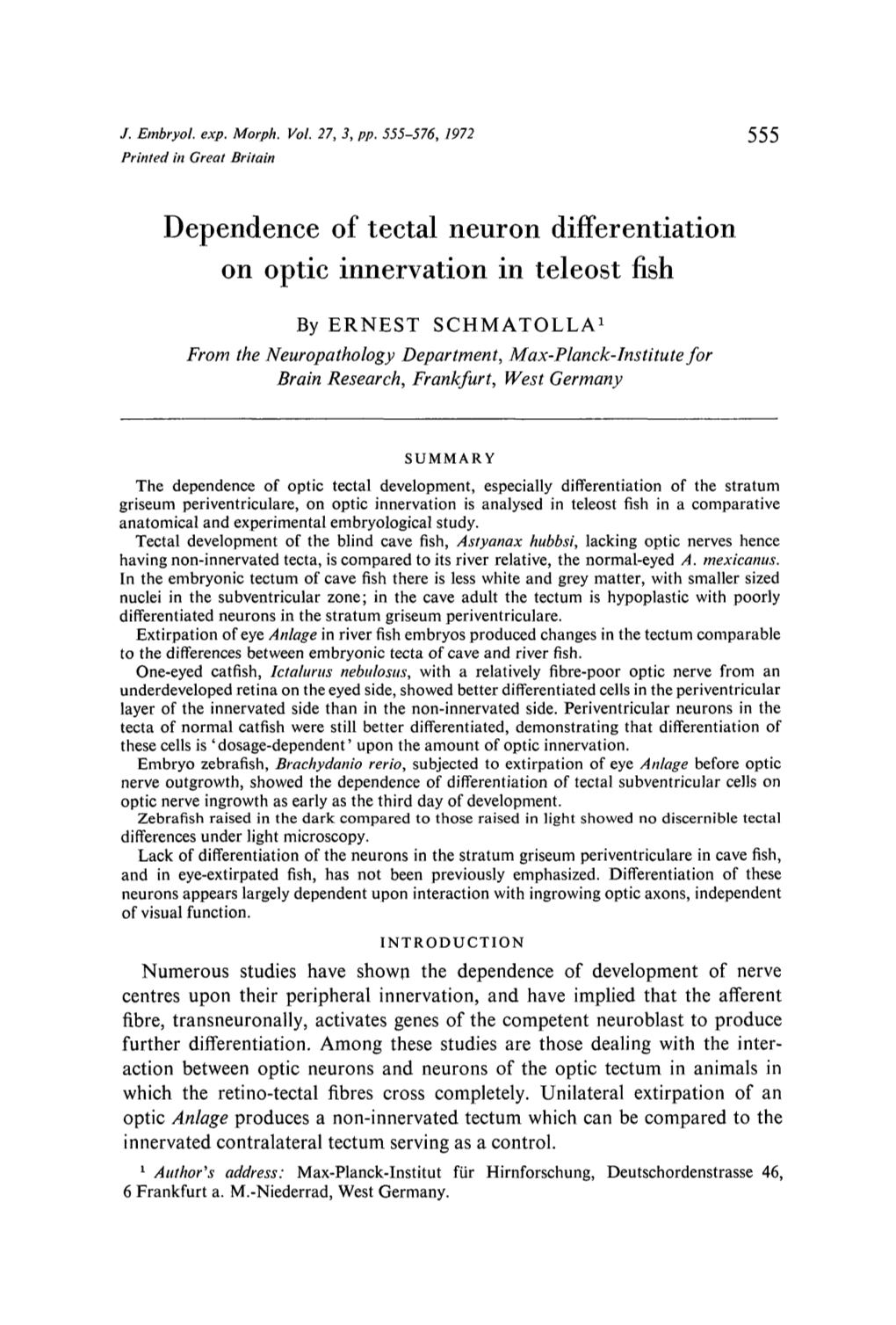 Dependence of Tectal Neuron Differentiation on Optic Innervation in Teleost Fish