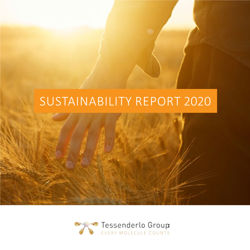 Sustainability Report 2020