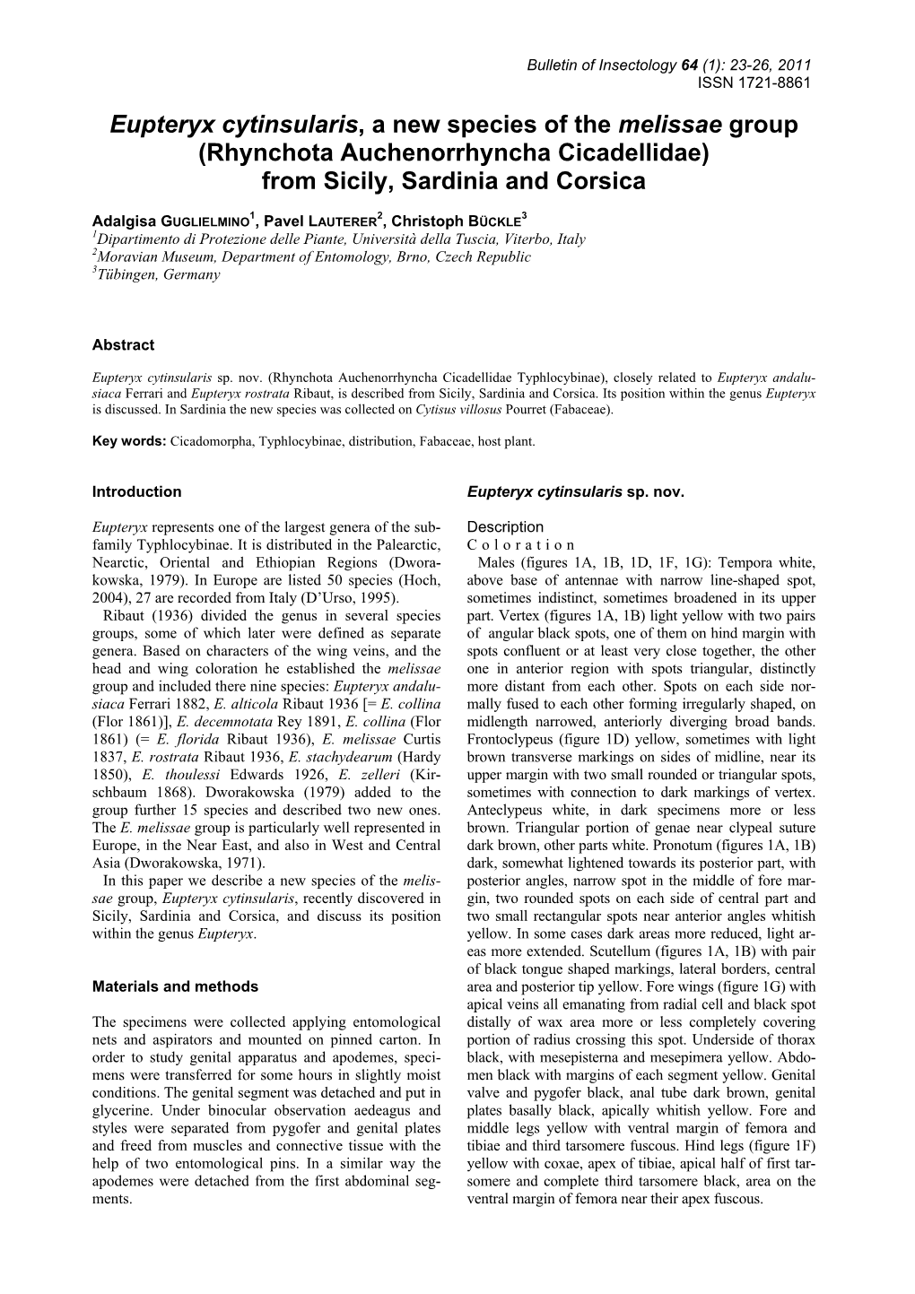 Eupteryx Cytinsularis, a New Species of the Melissae Group (Rhynchota Auchenorrhyncha Cicadellidae) from Sicily, Sardinia and Corsica