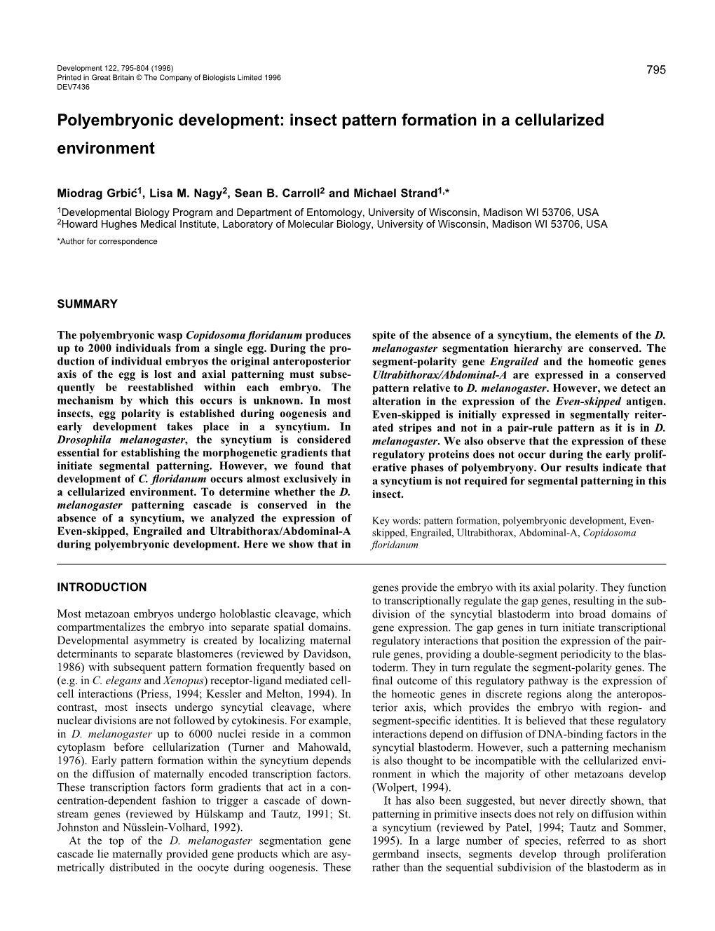 Polyembryonic Development: Insect Pattern Formation in a Cellularized Environment