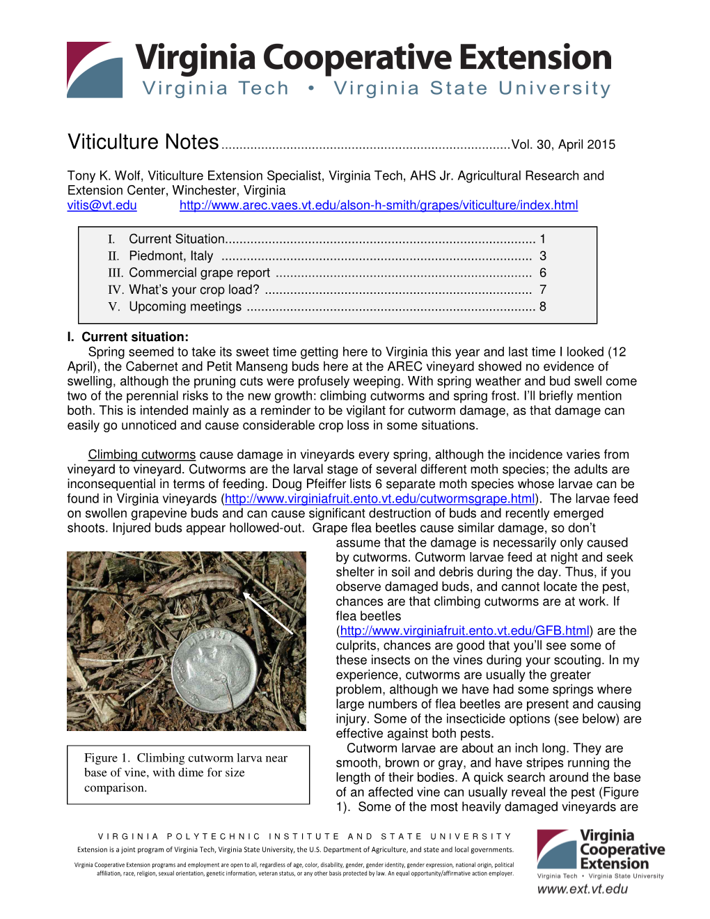 Figure 1. Climbing Cutworm Larva Near Base of Vine, with Dime for Size