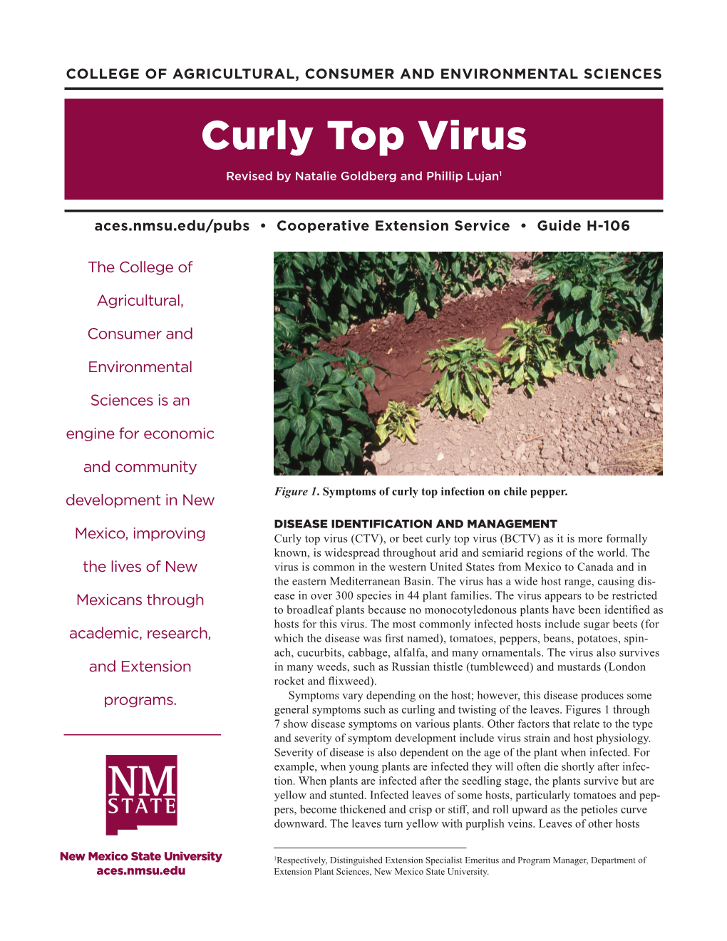 Curly Top Virus Revised by Natalie Goldberg and Phillip Lujan1