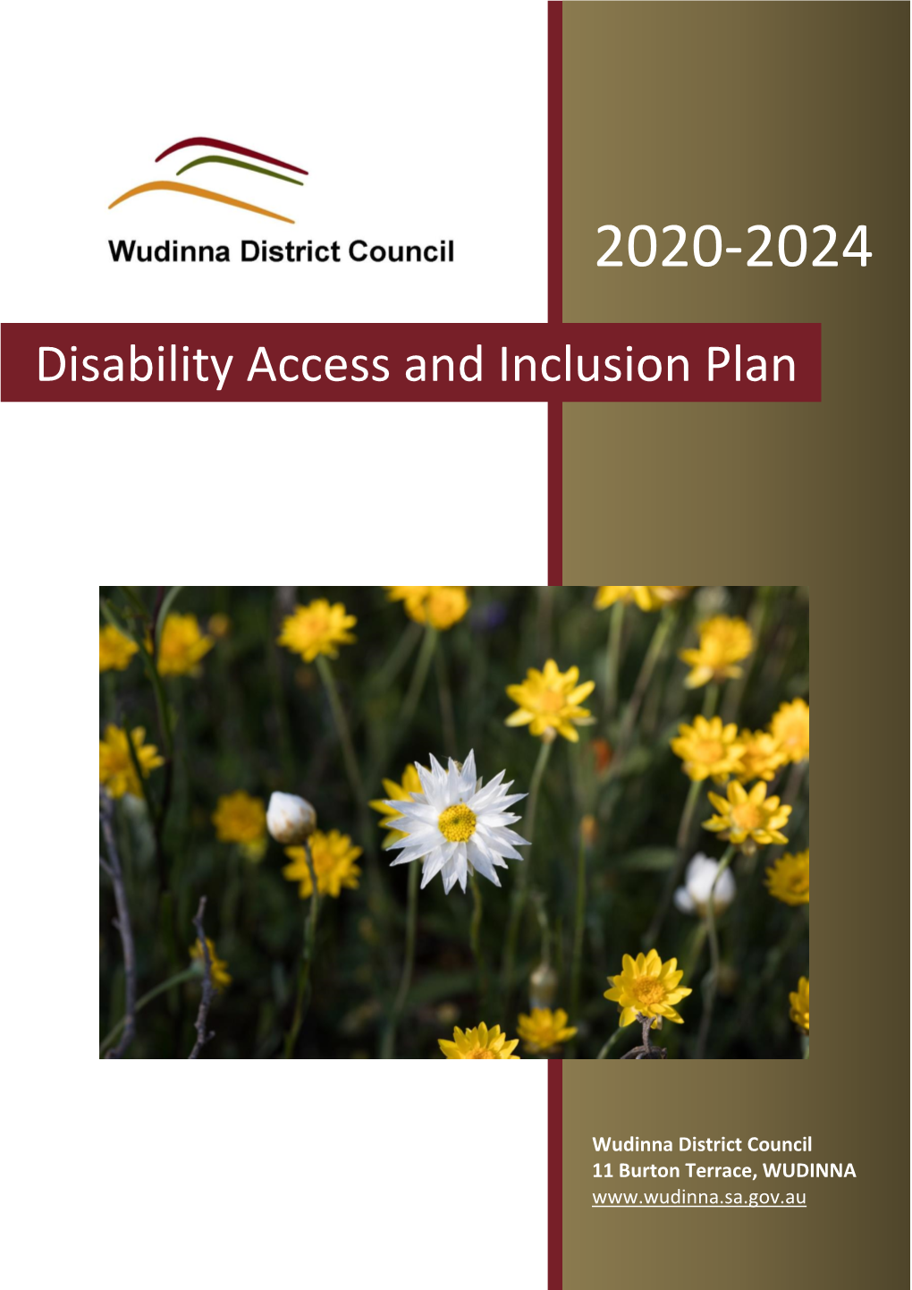 Disability Access and Inclusion Plan