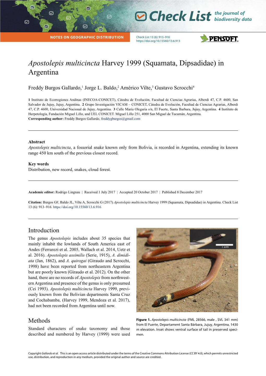 Apostolepis Multicincta Harvey 1999 (Squamata, Dipsadidae) in Argentina