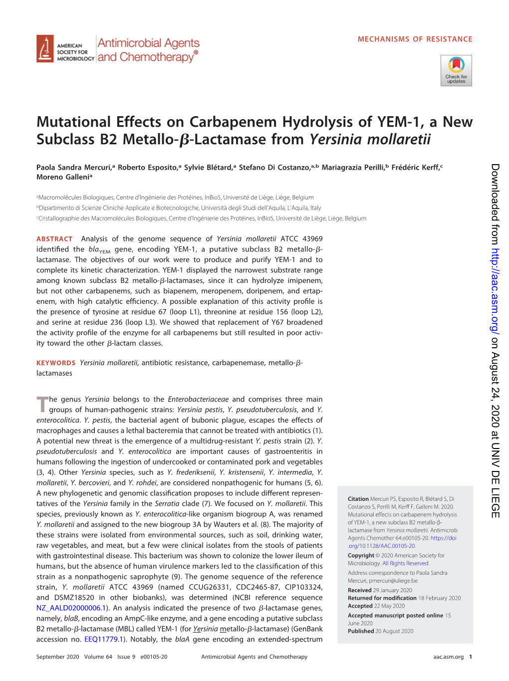 Lactamase from Yersinia Mollaretii