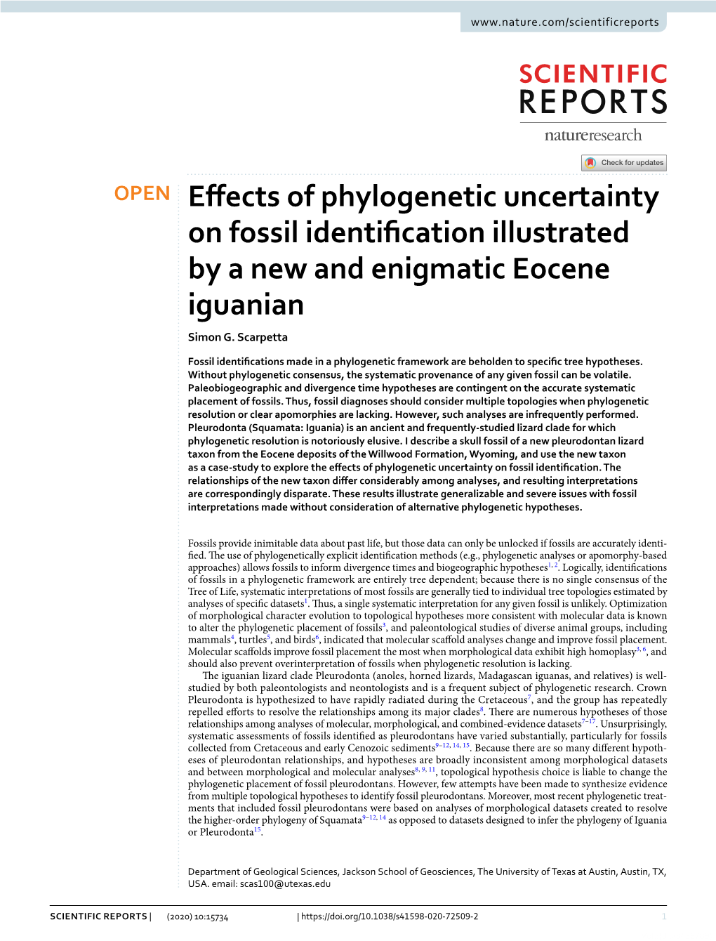 Effects of Phylogenetic Uncertainty on Fossil Identification Illustrated by A