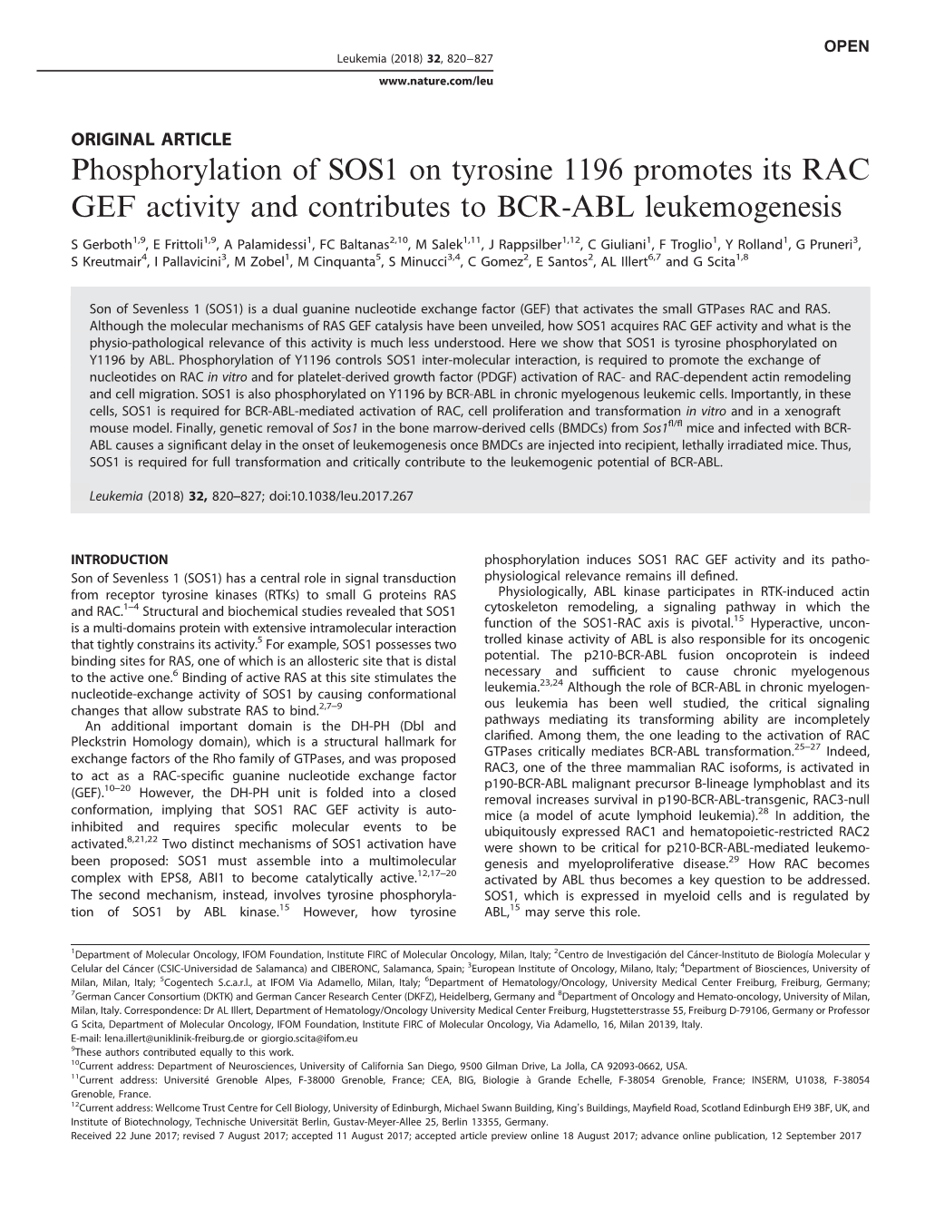 Phosphorylation of SOS1 on Tyrosine 1196 Promotes Its RAC GEF Activity and Contributes to BCR-ABL Leukemogenesis