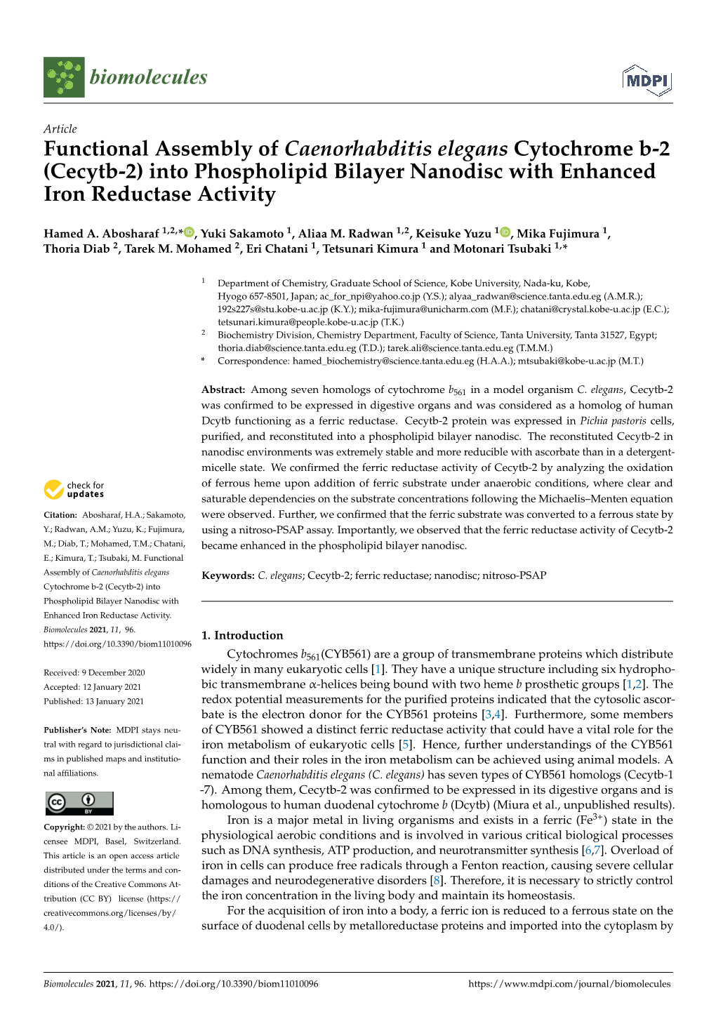 Into Phospholipid Bilayer Nanodisc with Enhanced Iron Reductase Activity