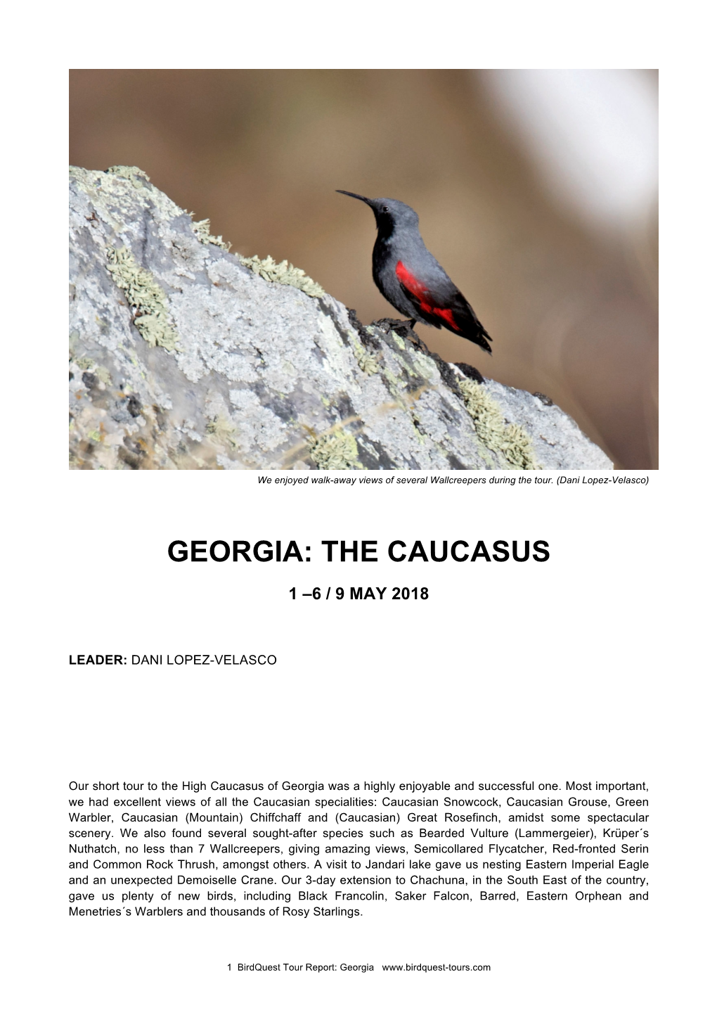 Georgia: the Caucasus