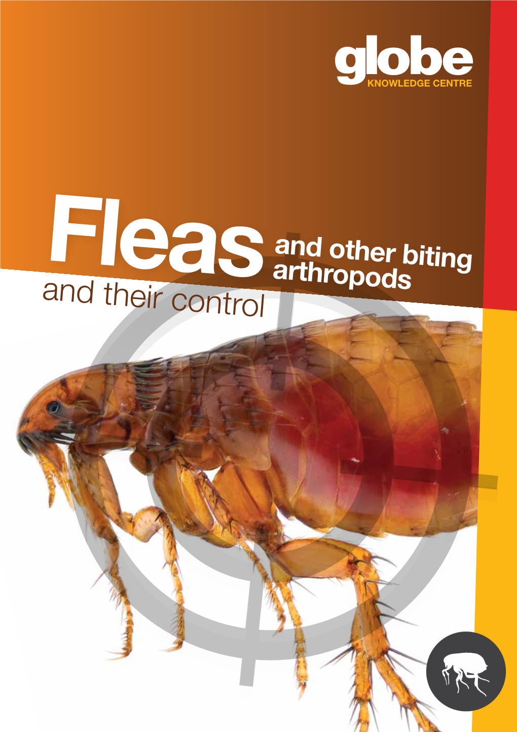 Fleas Arthropods and Their Control and Other Biting Fleas Arthropods and Their Control