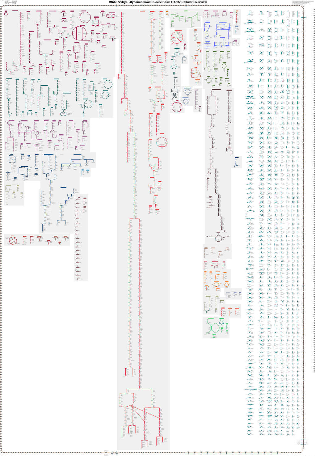 Generated by SRI International Pathway Tools Version 23.5 on Wed