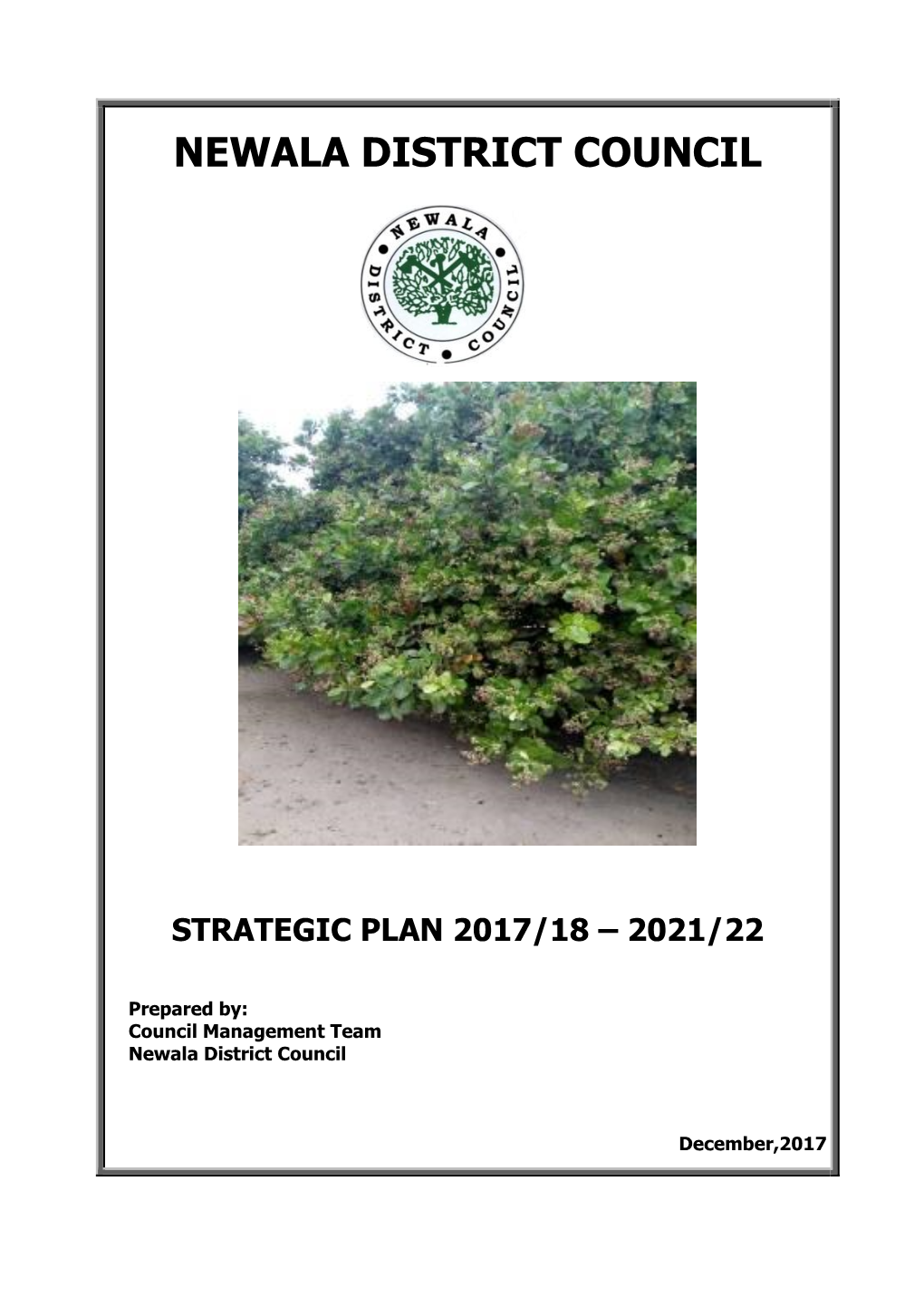 Strategic Plan 2017/18 – 2021/22