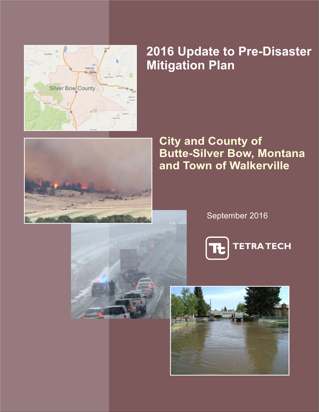 2016 Update to Pre-Disaster Mitigation Plan