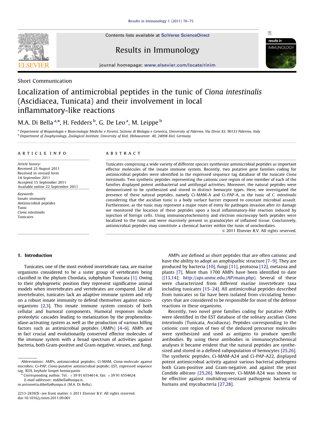 Localization of Antimicrobial Peptides in the Tunic of Ciona Intestinalis (Ascidiacea, Tunicata) and Their Involvement in Local Inﬂammatory-Like Reactions