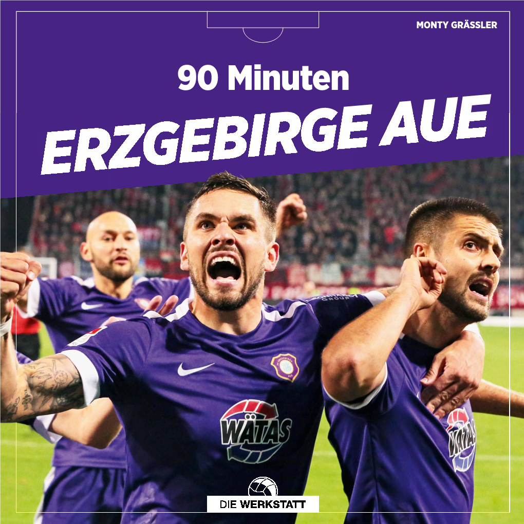 90 Minuten FC ERZGEBIRGE AUE – Der Kumpelverein