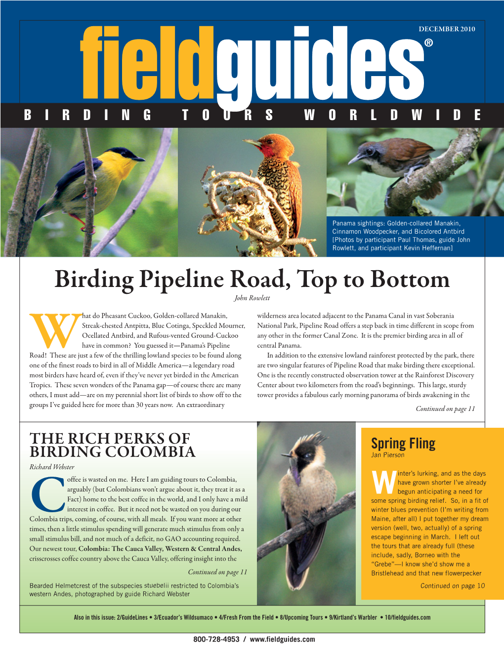 Birding Pipeline Road, Top to Bottom John Rowlett