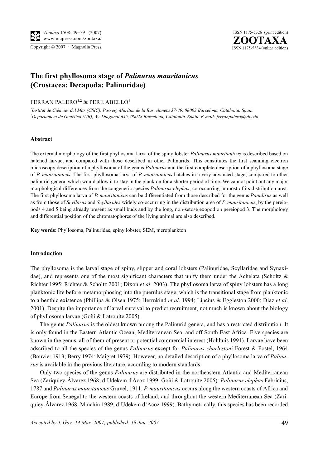 Zootaxa,The First Phyllosoma Stage of Palinurus Mauritanicus