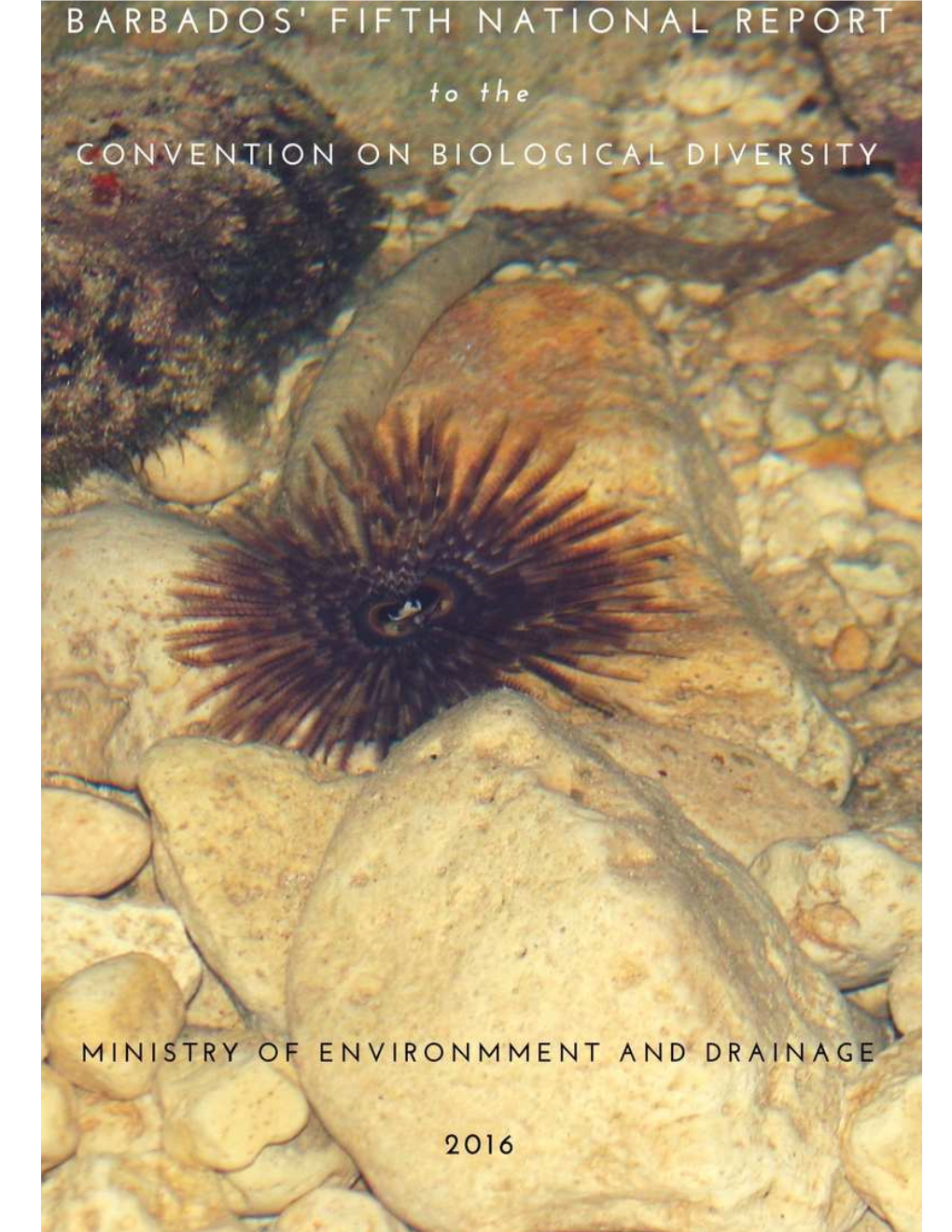 Barbados Has Submitted Four National Reports to the Convention on Biological Diversity; the Fourth National Report Being Submitted in 2011