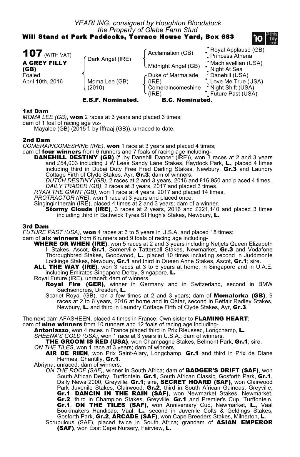 YEARLING, Consigned by Houghton Bloodstock the Property of Glebe Farm Stud Will Stand at Park Paddocks, Terrace House Yard, Box 683