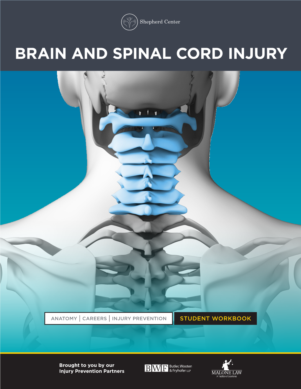 Brain and Spinal Cord Injury