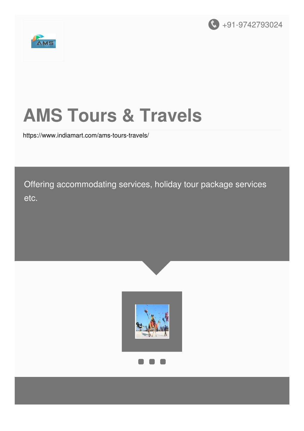 AMS Tours & Travels