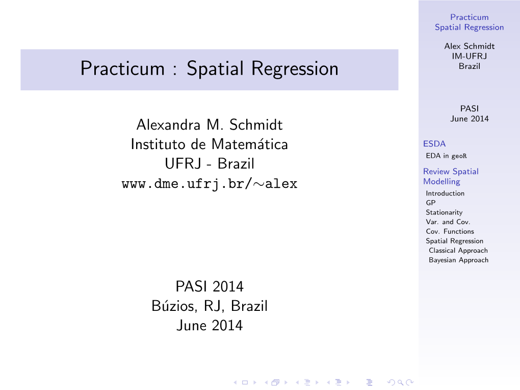 Practicum : Spatial Regression Brazil