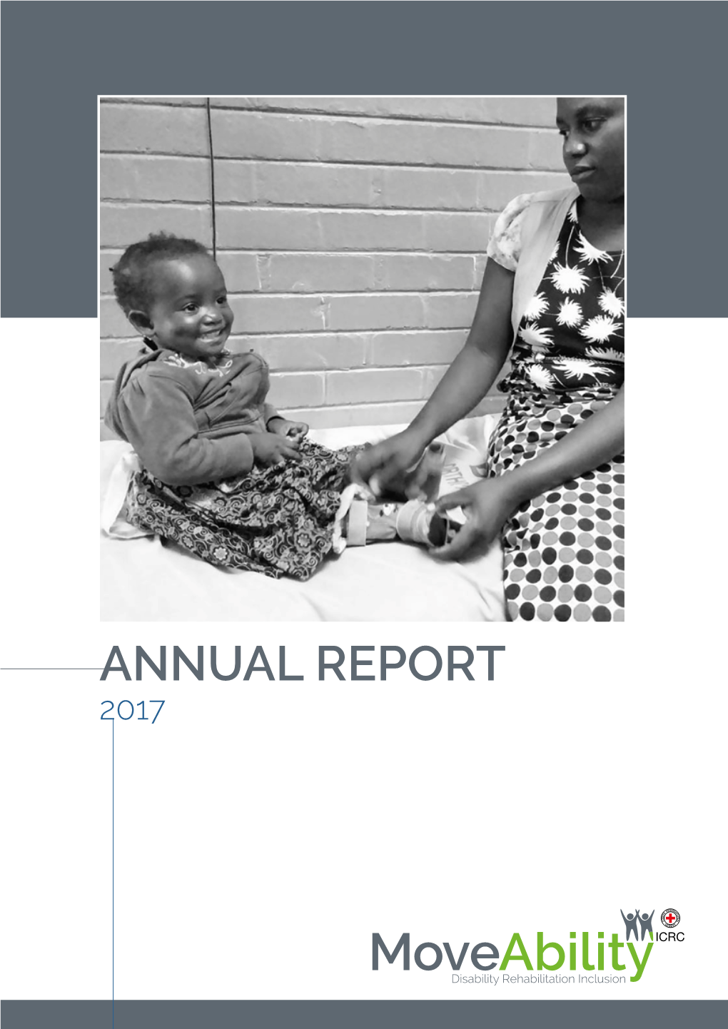 Moveability Annual-Report 2017