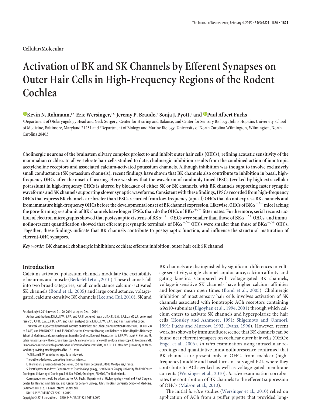 Activation of BK and SK Channels by Efferent Synapses on Outer Hair Cells in High-Frequency Regions of the Rodent Cochlea