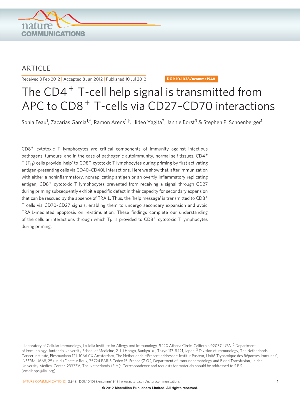 The CD4+ T-Cell Help Signal Is Transmitted from APC to CD8+ T