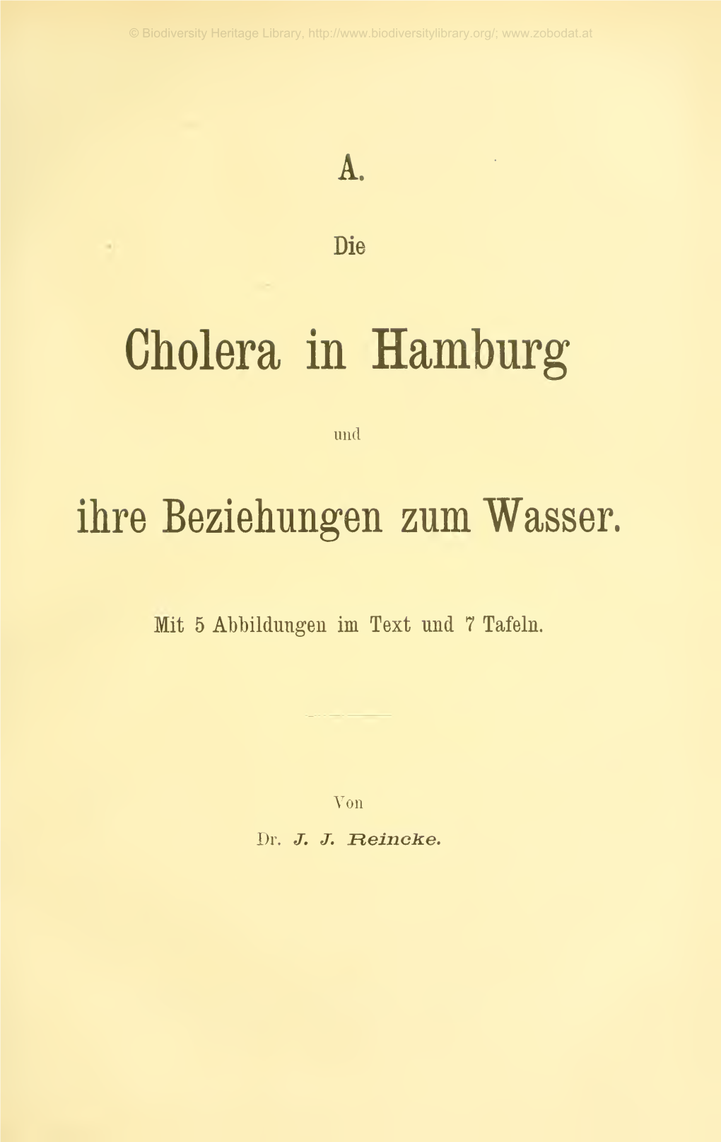 A. Die Cholera in Hamburg Und Ihre Beziehungen Zum