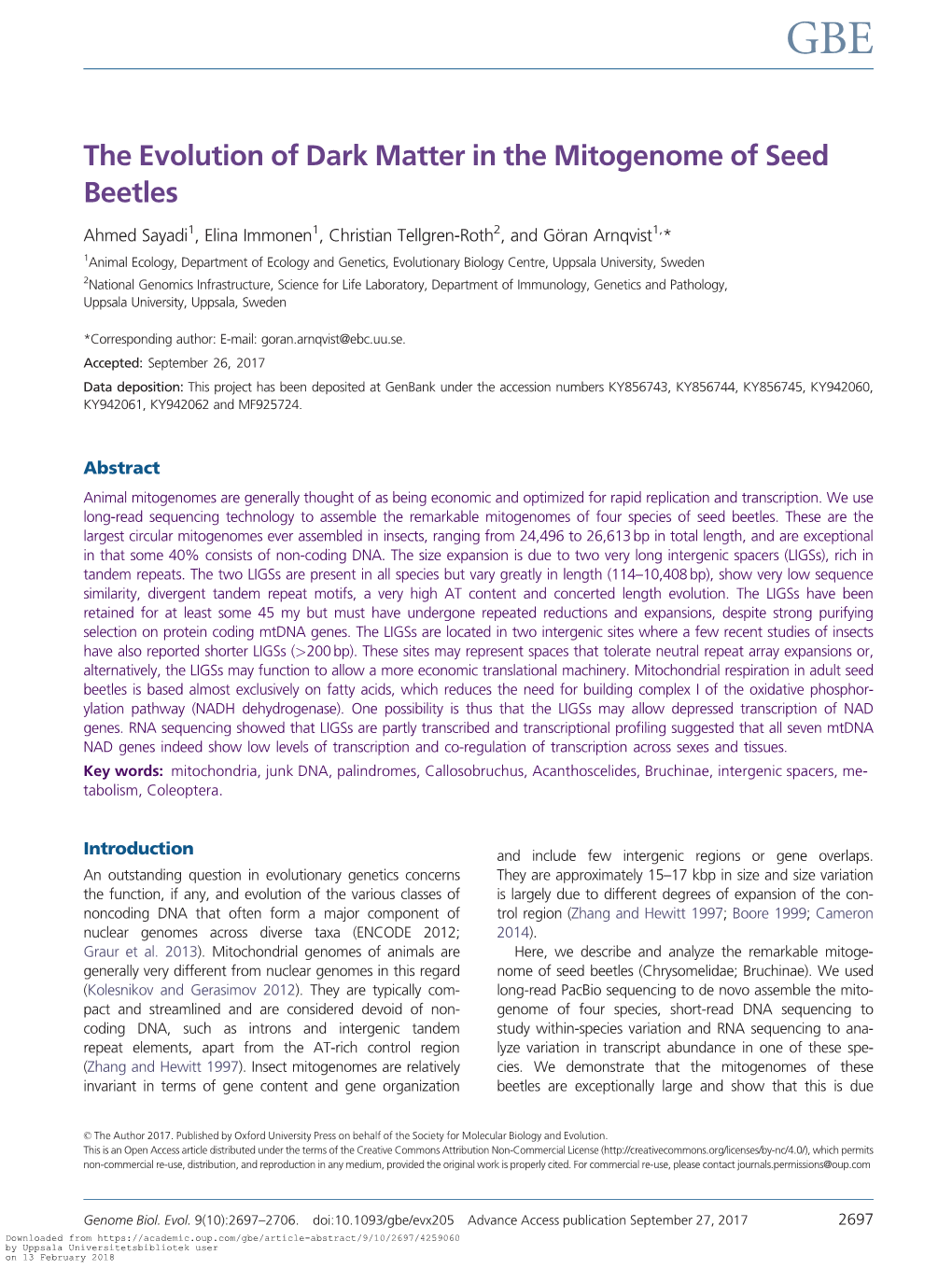 The Evolution of Dark Matter in the Mitogenome of Seed Beetles