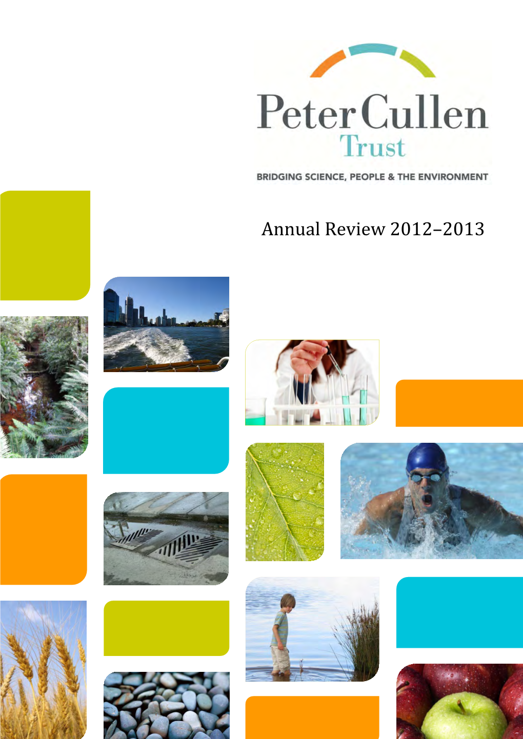 Annual Review 2012–2013