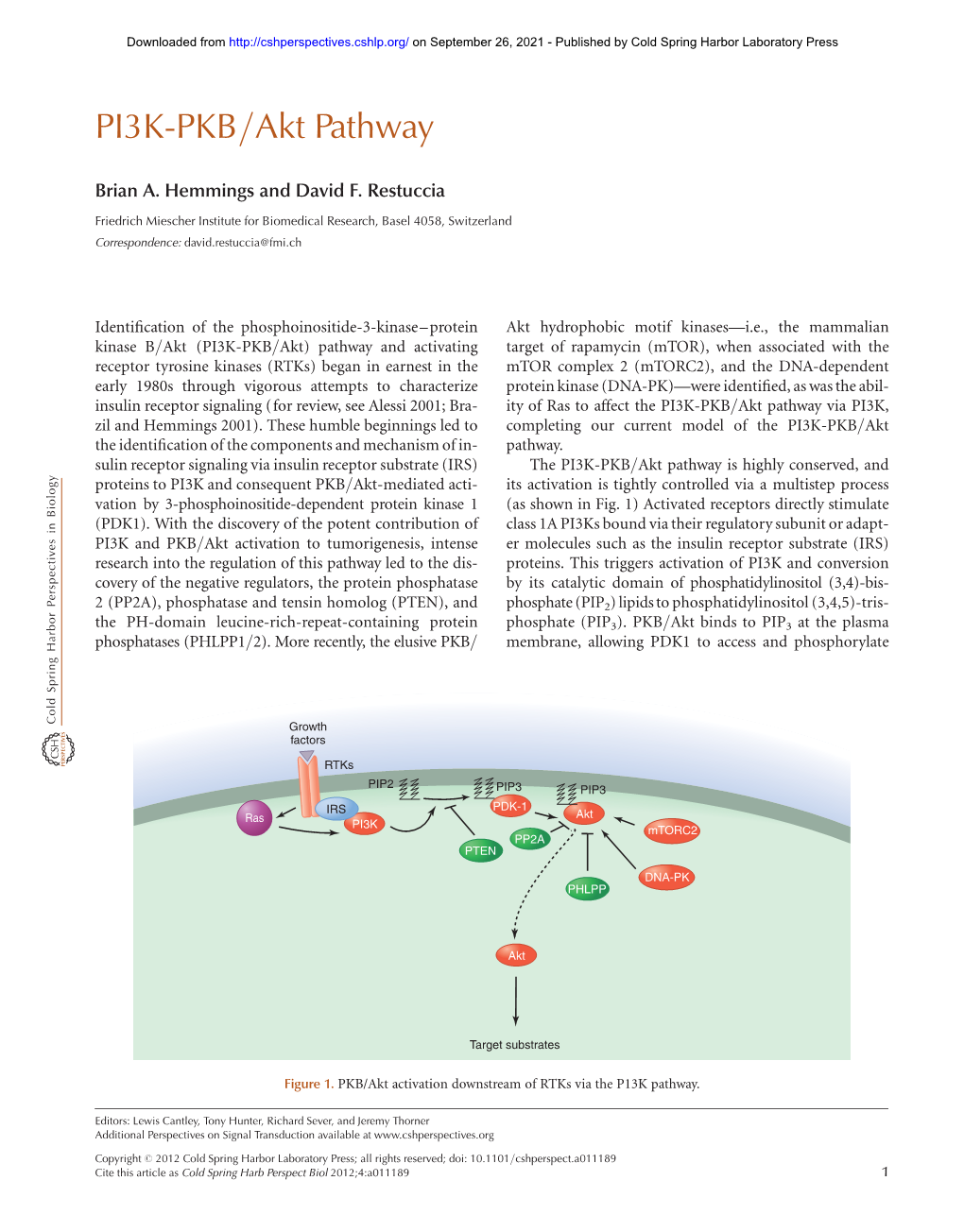 PI3K-PKB/Akt Pathway