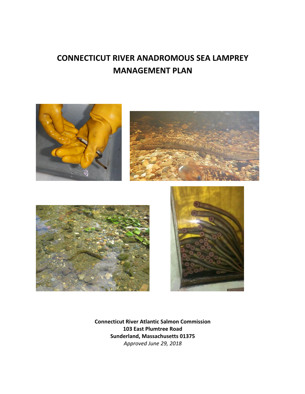 Connecticut River Anadromous Sea Lamprey Management Plan